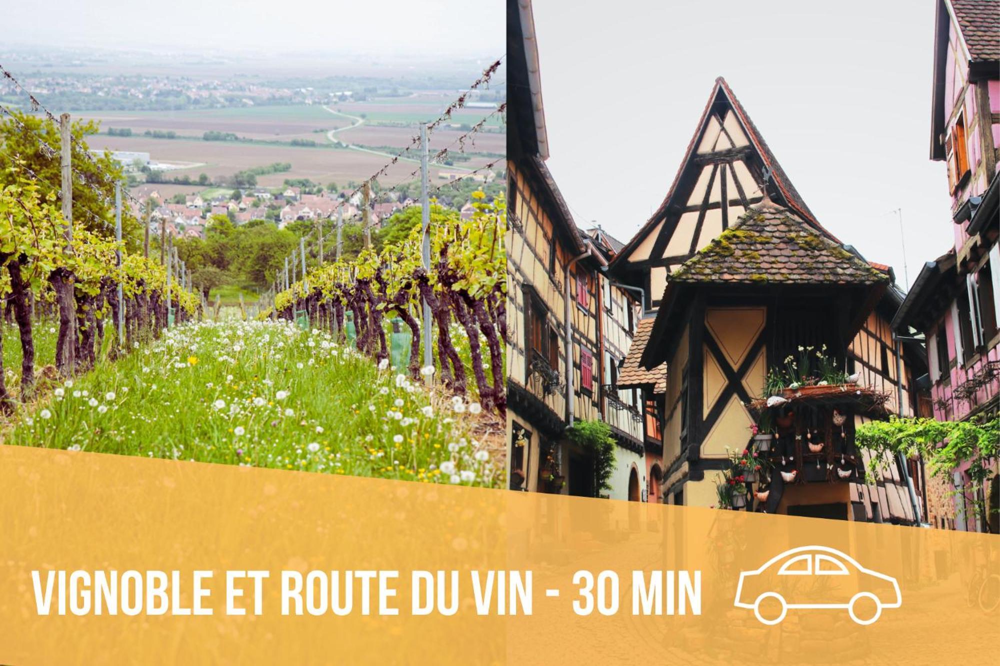 Les Pinots D'Alsace - 3 Bungalows Climatises Avec Tv - Proche Europa Park Boofzheim Zimmer foto